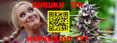 дмт Гатчина