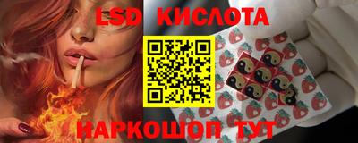 ГАЛЛЮЦИНОГЕННЫЕ ГРИБЫ Гай
