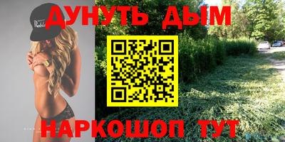 дмт Гатчина