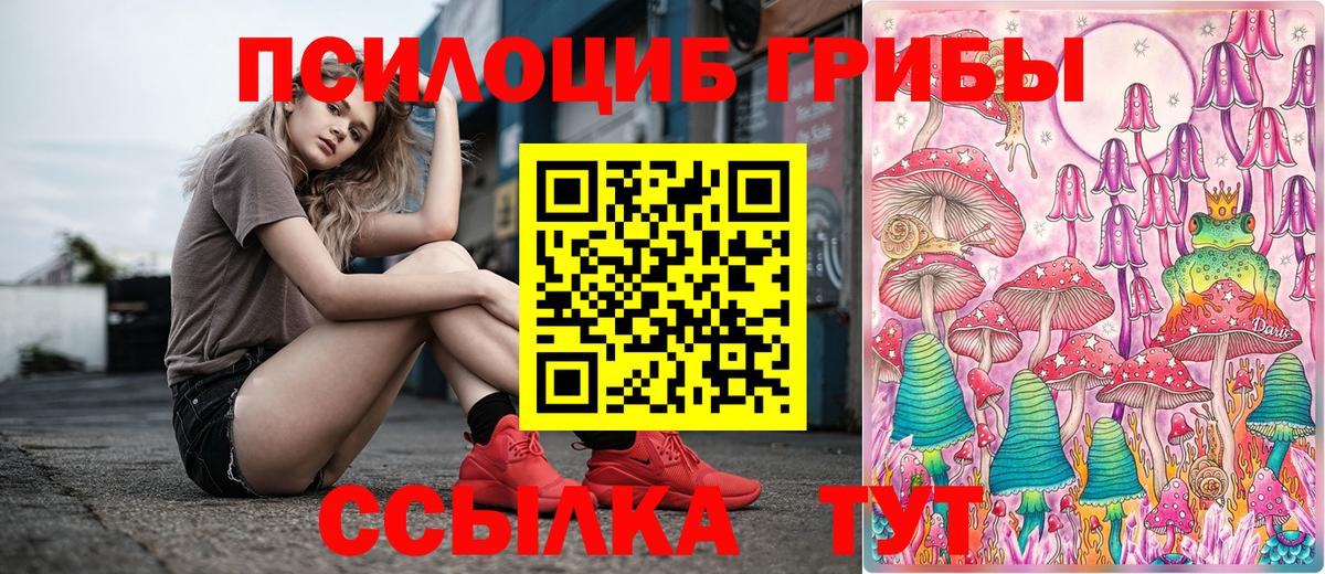 Междуреченск  Псилоцибиновые грибы ЛСД  Галлюциногенные грибы Cubensis  Вход с VPN 